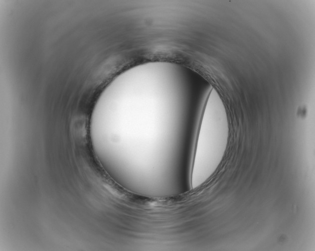 X0000091850232200709050942