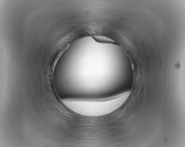 X0000091850233200709050942