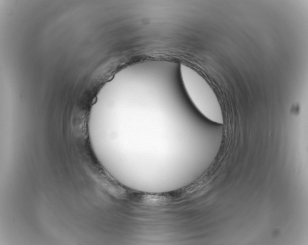 X0000091850234200709050942