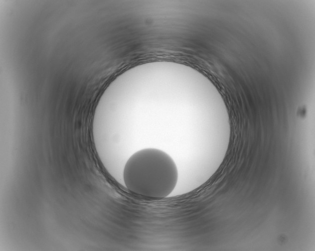 X0000091850235200709050942