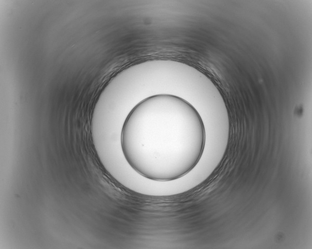 X0000091850237200709050942