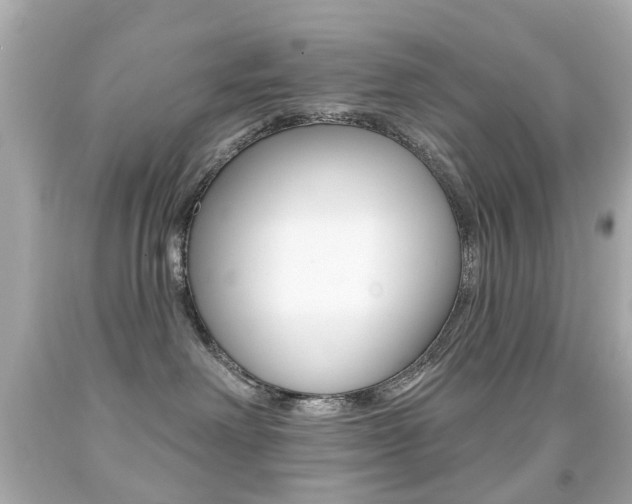 X0000091850238200709050942