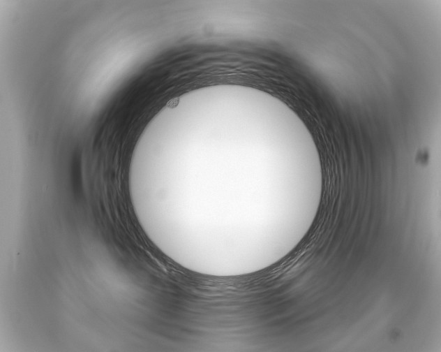 X0000091850239200709050942