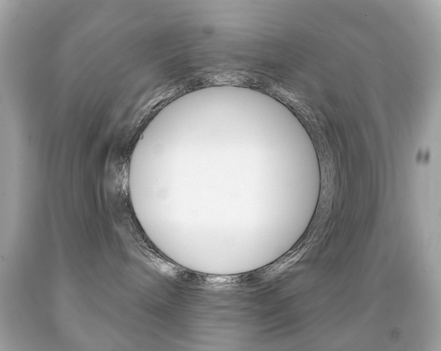 X0000091850240200709050942
