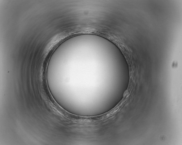 X0000091850242200709050941
