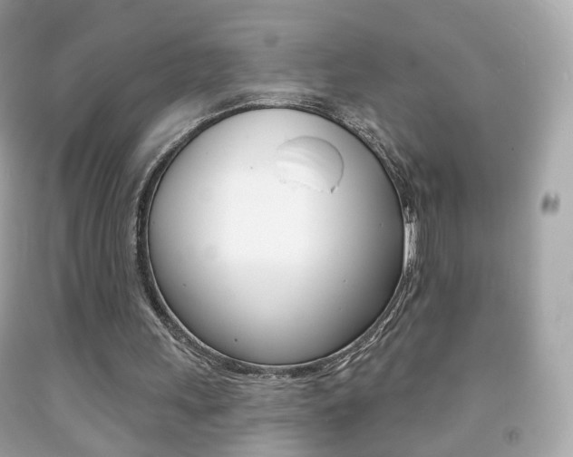 X0000091850243200709050941