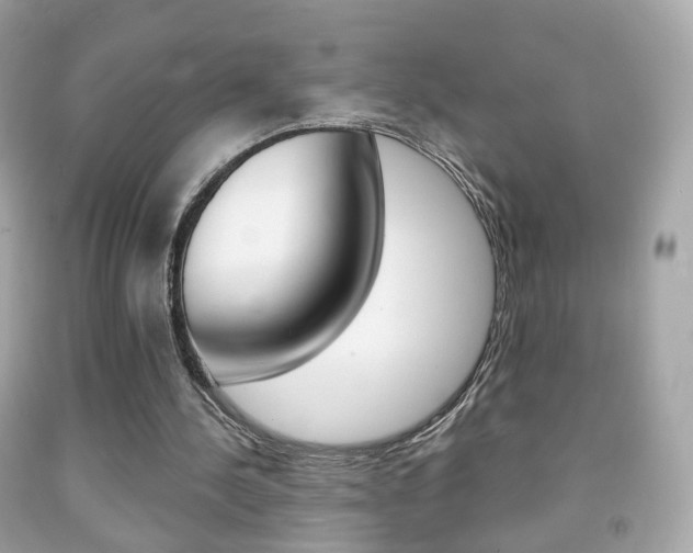 X0000091850244200709050941