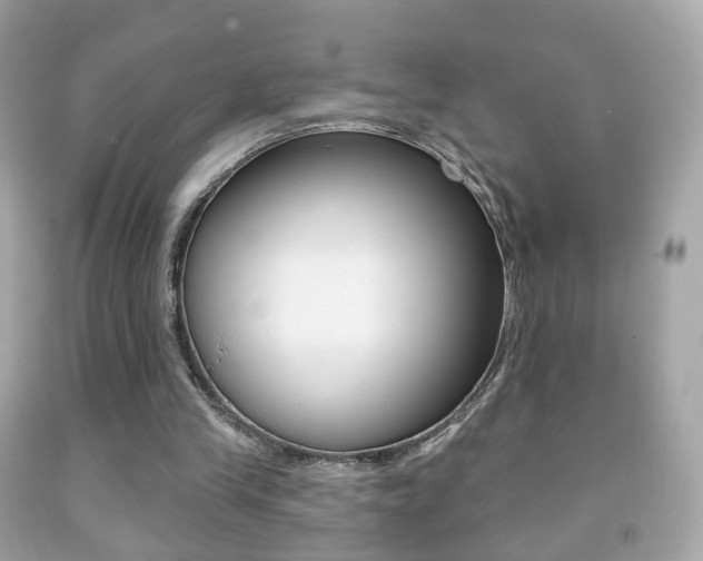 X0000091850245200709050941