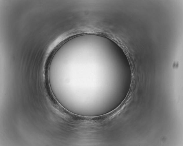 X0000091850246200709050941