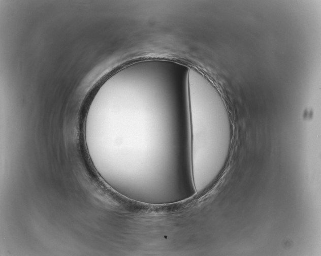 X0000091850247200709050941