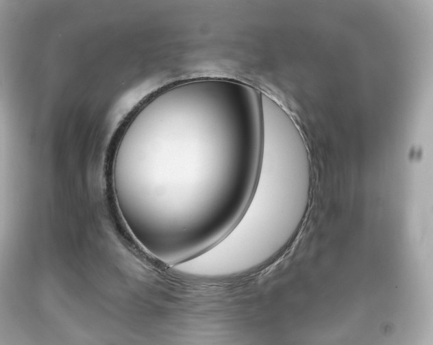 X0000091850248200709050941