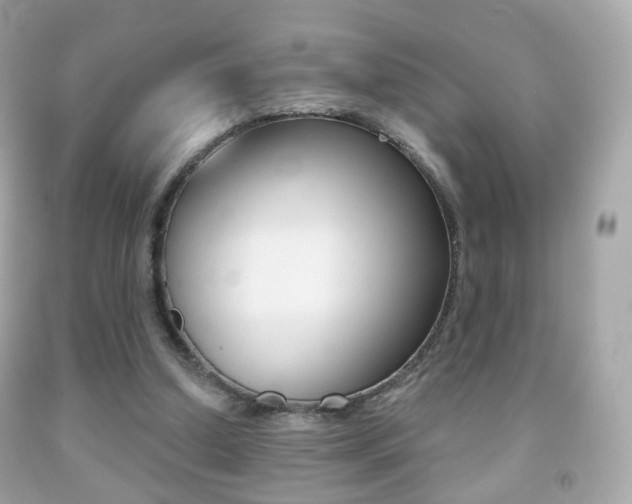 X0000091850250200709050941