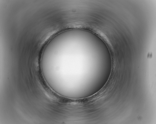 X0000091850251200709050941