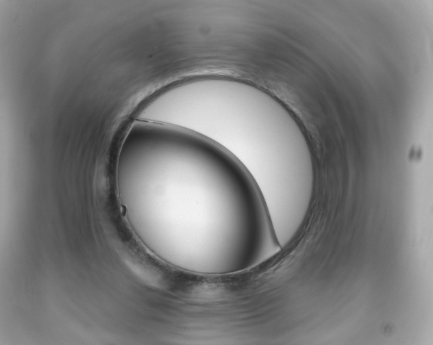 X0000091850252200709050941