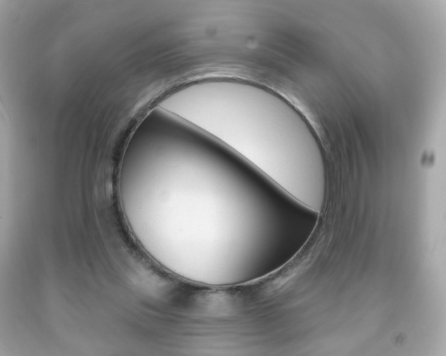 X0000091850253200709050941