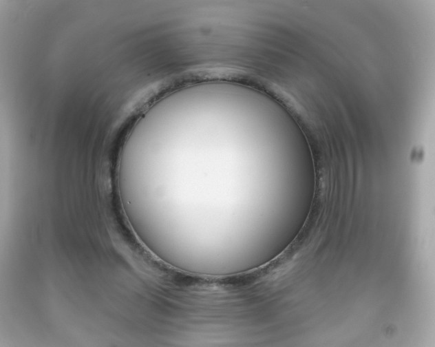 X0000091850254200709050941