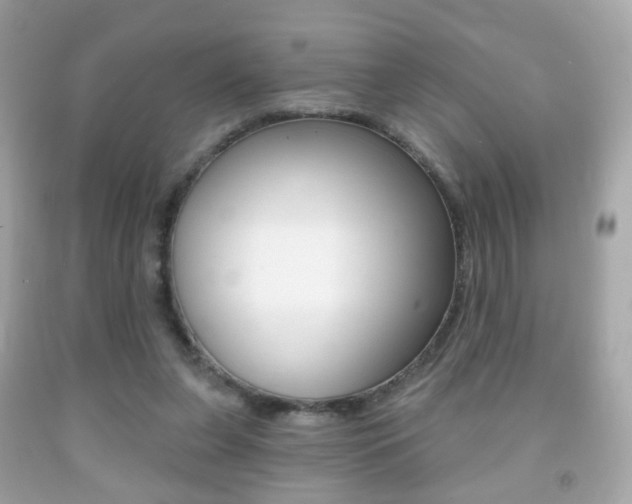 X0000091850255200709050941