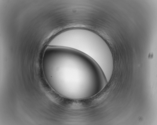 X0000091850256200709050941