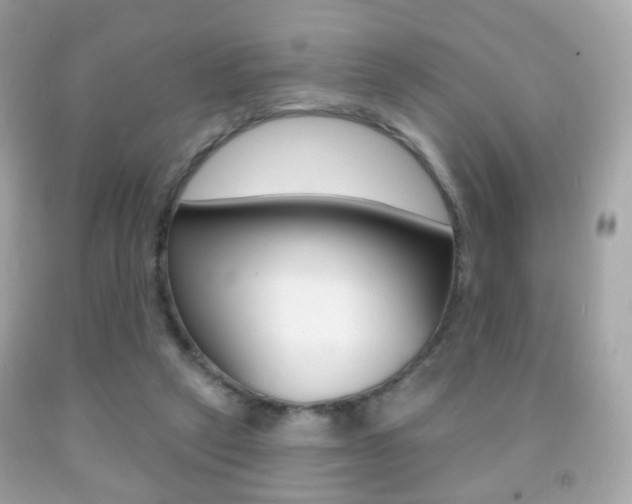 X0000091850257200709050941