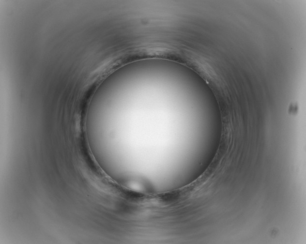 X0000091850262200709050942