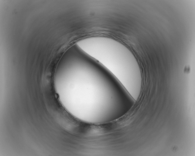 X0000091850263200709050942