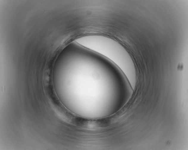 X0000091850264200709050942