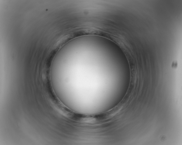 X0000091850266200709050942