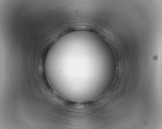 X0000091850267200709050942