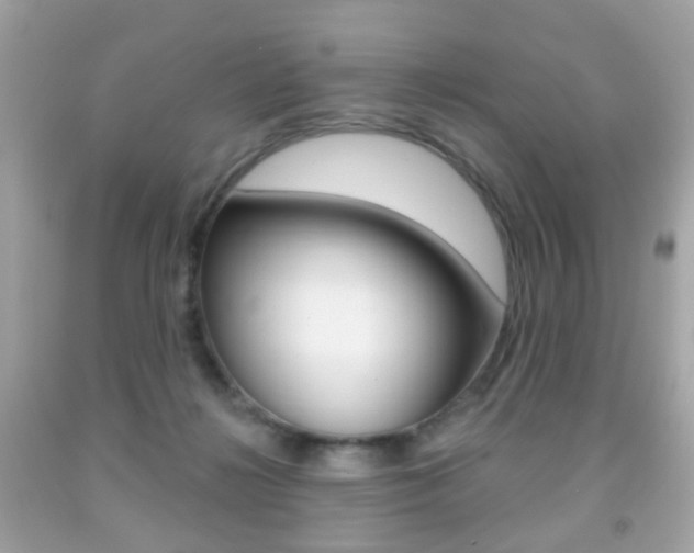 X0000091850268200709050942