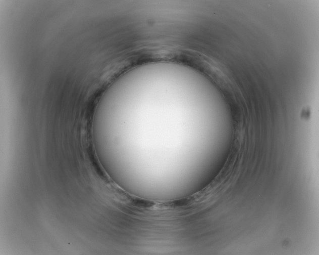 X0000091850270200709050942