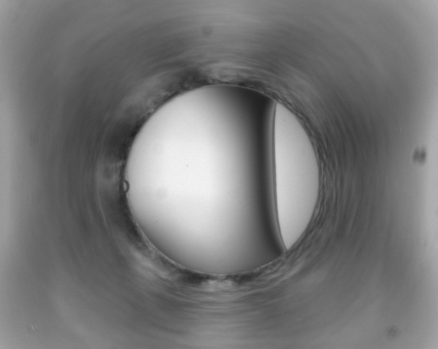X0000091850271200709050942