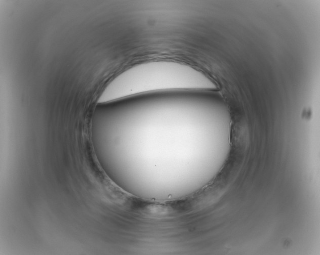 X0000091850272200709050942