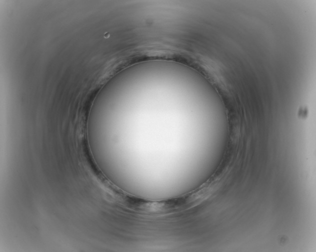 X0000091850273200709050942