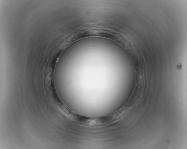 X0000091850275200709050942