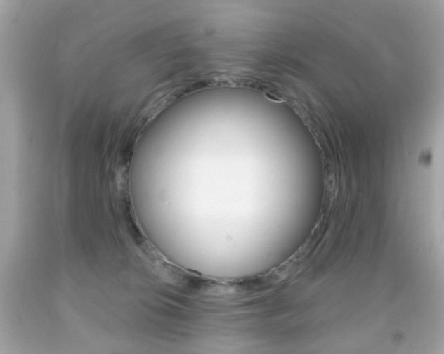 X0000091850276200709050942