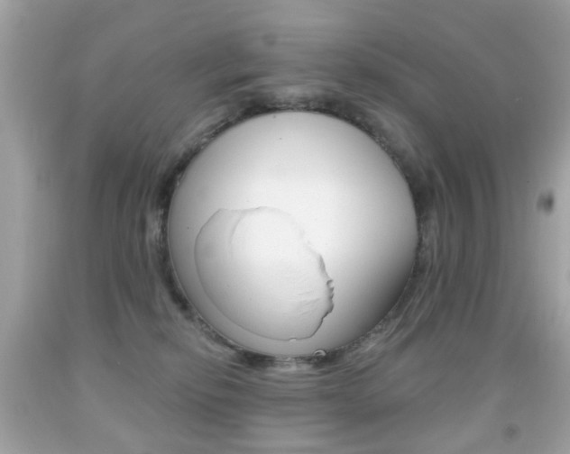 X0000091850278200709050942