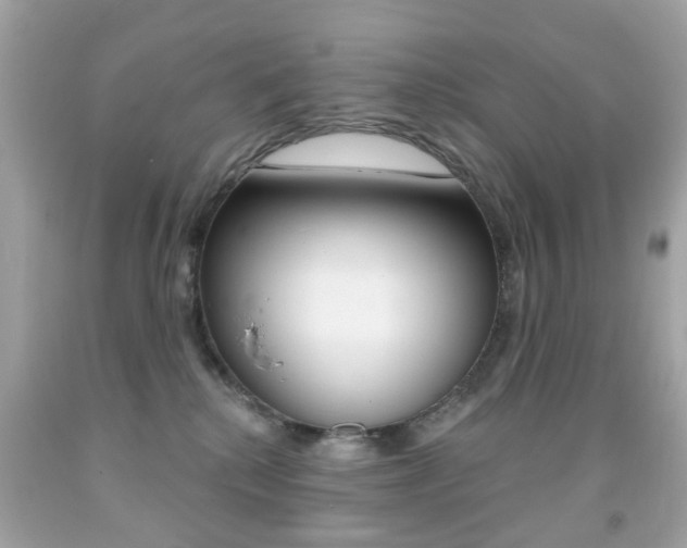 X0000091850280200709050942