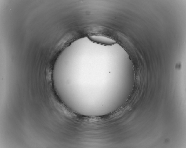 X0000091850282200709050942