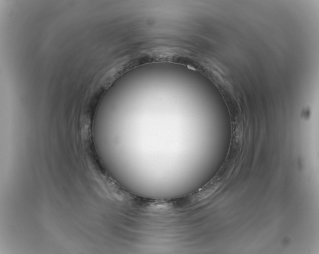 X0000091850283200709050942
