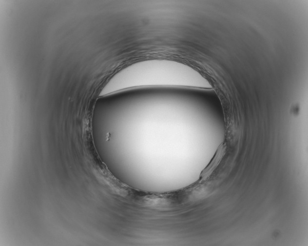 X0000091850284200709050942