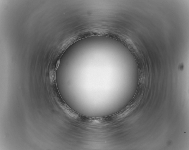 X0000091850285200709050942