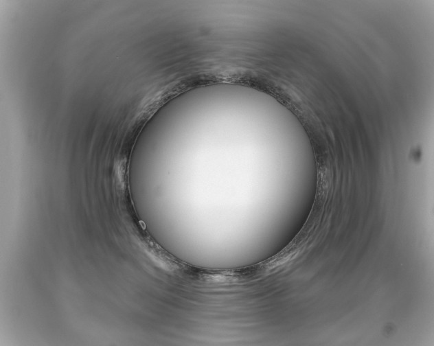 X0000091850286200709050942