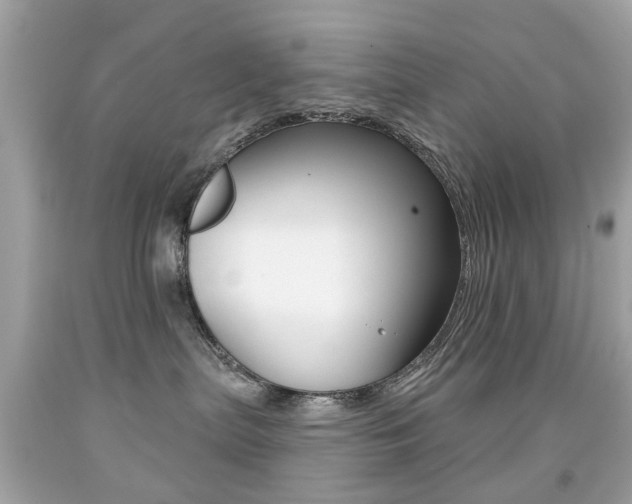 X0000091850287200709050942