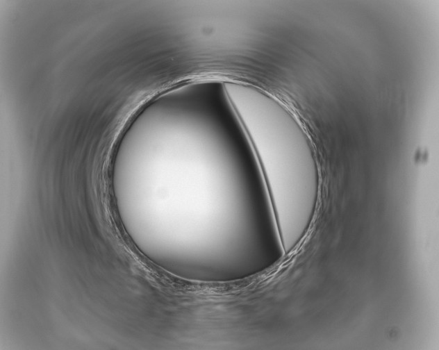 X0000091850289200709050941