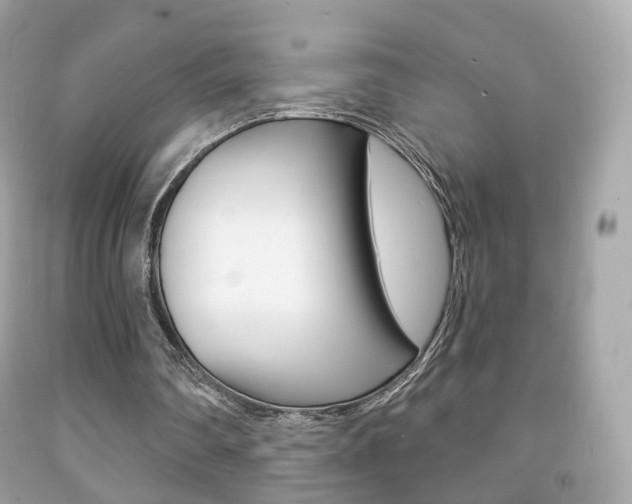 X0000091850290200709050941