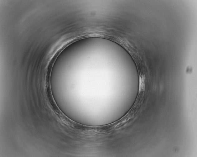 X0000091850291200709050941