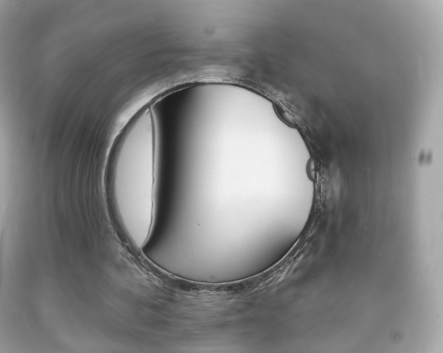 X0000091850292200709050941