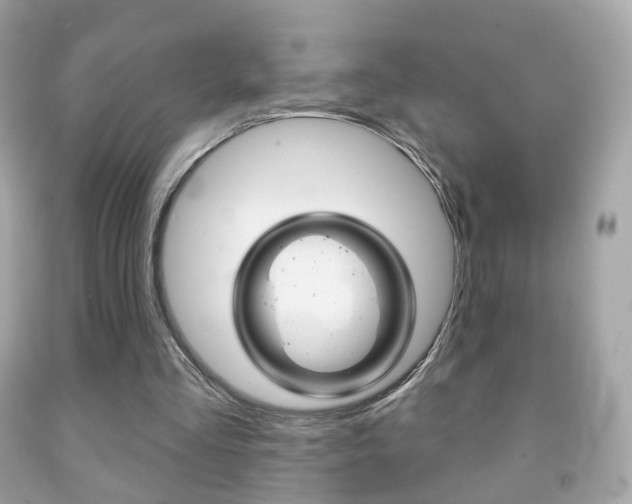 X0000091850293200709050941