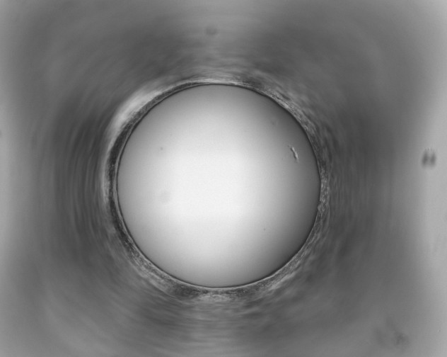 X0000091850294200709050941
