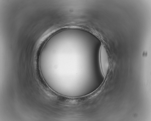 X0000091850295200709050941